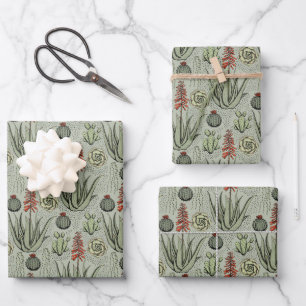 Fun Plant Lover Aloe Vera Plants Succulents Cactus Wrapping Paper Sheet