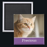 Fun Purple Personalised Pet Photo Magnet<br><div class="desc">Fun Purple Personalised Pet Photo Magnet.</div>