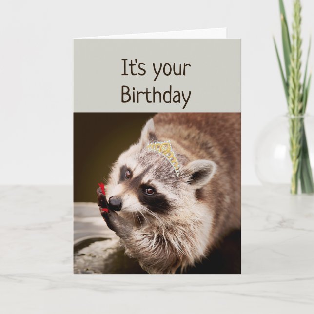 Fun Racoon Getting Dressed up Nails Done Card (Front)