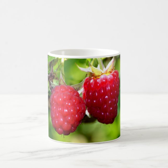 Fun red Raspberries Coffee Mug (Center)