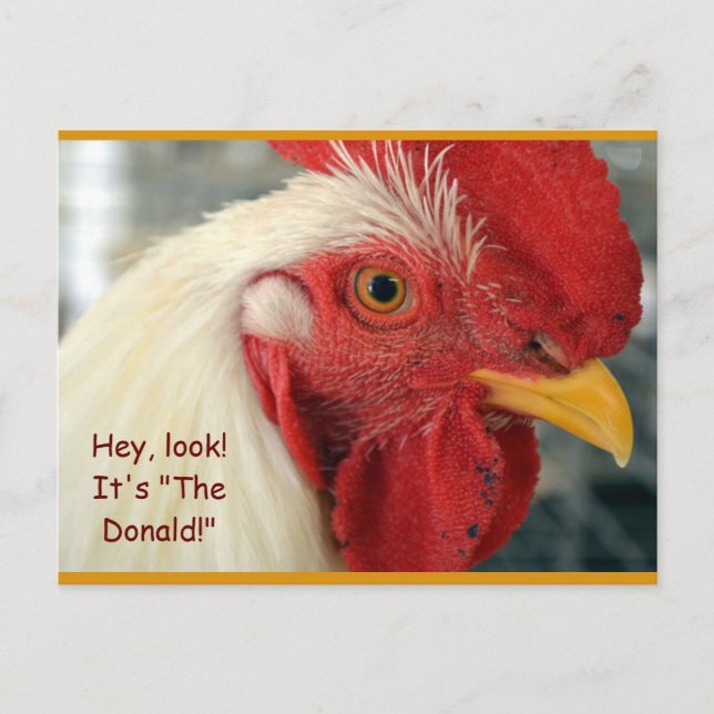 Fun Rooster Postcard "Hey, Look! It's The Donald!" (Front)