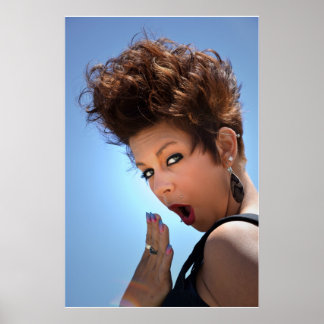 Fun Salon Poster