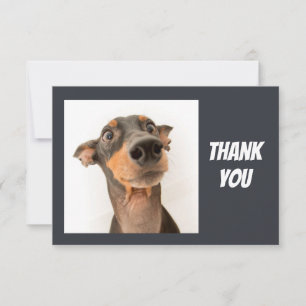 Fun Silly Shocked looking Dog Thank You Card