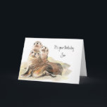 Fun Son "Don't grow up " Cute Seals Card<br><div class="desc">Fun Son  Birthday "Don't Grow up Now" Cute Seals</div>