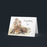 Fun Son "Don't grow up " Cute Seals Card<br><div class="desc">Fun Son  Birthday "Don't Grow up Now" Cute Seals</div>