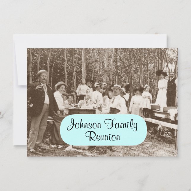 Fun Vintage Family Picnic Party Reunion Invitation (Front)