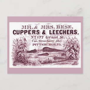 FUN Vintage MEDICAL Leeches Ad CUPPERS & LEECHERS Postcard