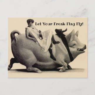 Fun Vintage Postcard Let Your Freak Flag Fly!