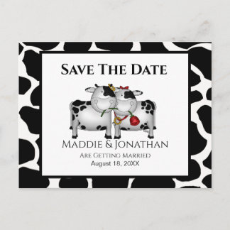 Fun Wedding Cows Save the Date Postcard