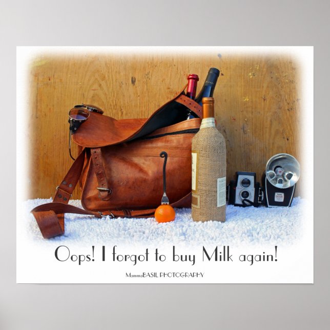 Fun Wine Poster! Poster (Front)