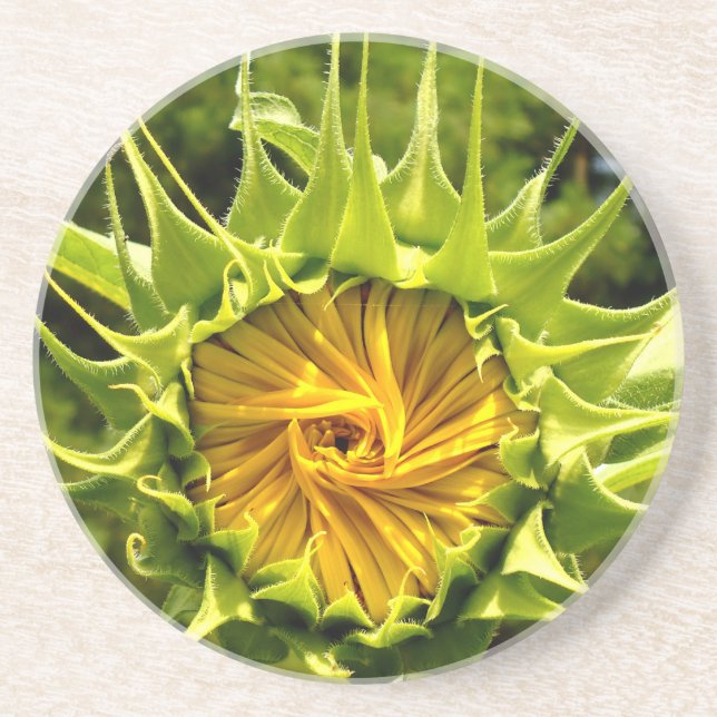 Fun yellow floral Sunflower Coaster (Front)