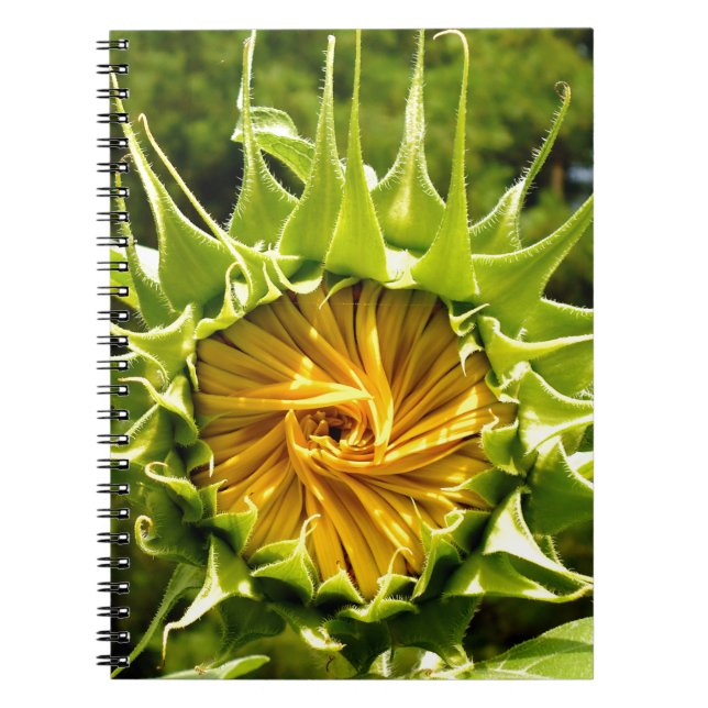 Fun yellow floral Sunflower Notebook (Front)