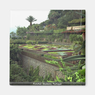Funchal, Madeira, Portugal Magnet