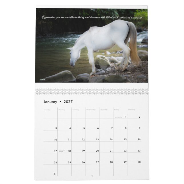 Fund Raiser Calendar Salvando Corazones 2015 (Jan 2027)