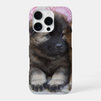 Funda de iPhone 16 con foto de perrito marrón Pro Case