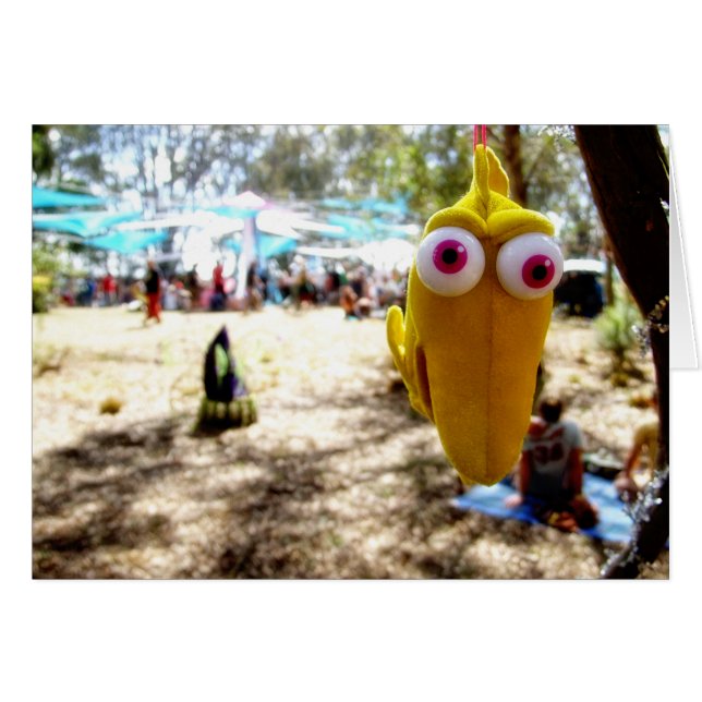 FunDecor (Front Horizontal)