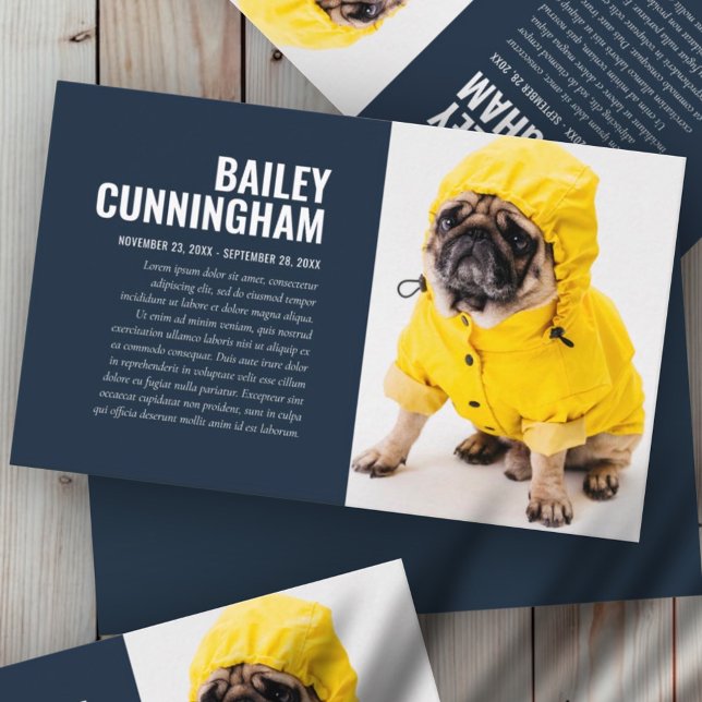 Funeral Memorial In Loving Memory Pet Photo Card (Creator Uploaded)