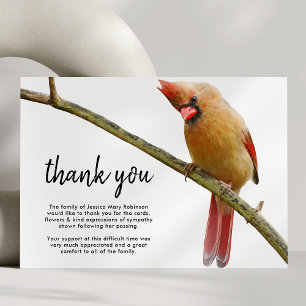 Funeral Thank You Note Cardinal Bird