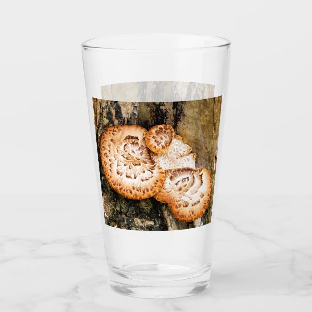 FUNGI    GLASS (Front)