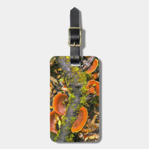 Fungi Growing On Branches, The Knysna-Amatole Luggage Tag