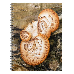 FUNGI  NOTEBOOK