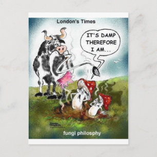 Fungi Philosophy Funny Gifts Tees & Collectibles Postcard