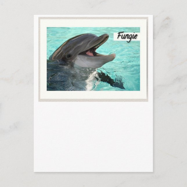 Fungie The Dolphin Postcard (Front)