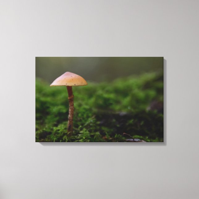 Fungus in the green moss canvas print (Front)