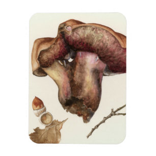 Fungus Magnet