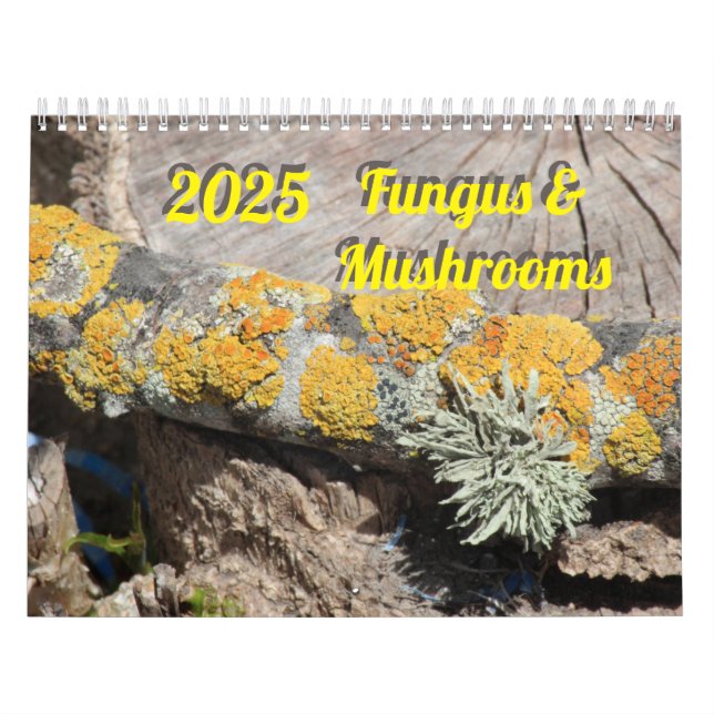 Fungus & Mushrooms 2025 Calendar (Cover)