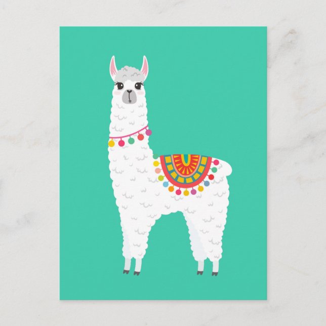 Funky Alpaca llama drama cute animal Postcard (Front)