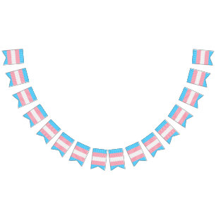 Funky Boho Stripe Abstract Transgender Pride Flag