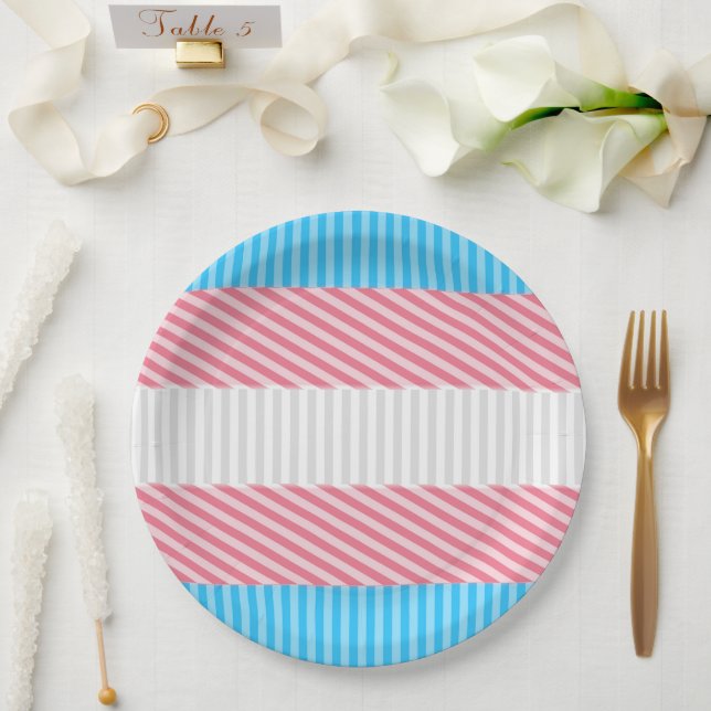 Funky Boho Stripe Abstract Transgender Pride Flag Paper Plate (Wedding)