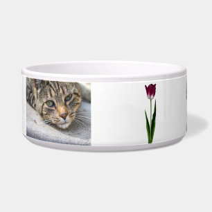Funky Ceramic Pet Bowl