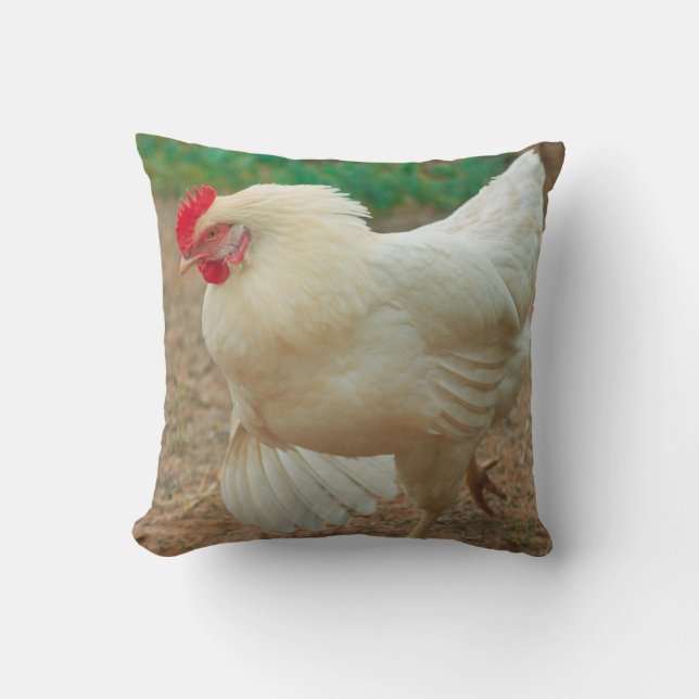 Funky Chicken Hen Hy-Line Silver Brown Cushion (Front)