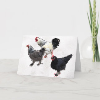 Funky Chickens Card