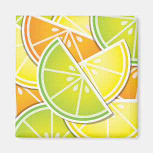 Funky citrus wedges magnet