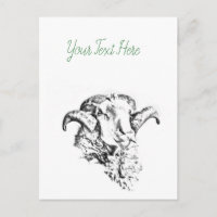 Funky Cute Sheep Ram