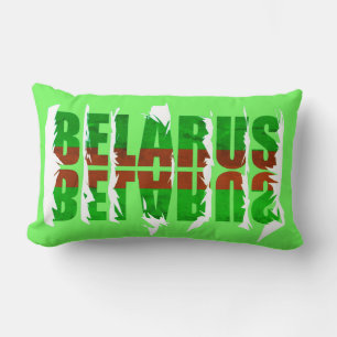 Funky Flag Colours Belarus Беларусь Cushion Pillow