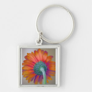 Funky Gerbera Key Ring