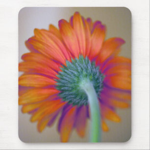 Funky Gerbera Mouse Pad