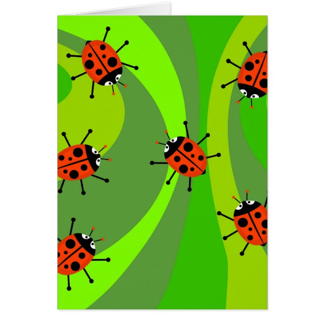Funky Ladybugs (Front)
