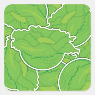 Funky lettuce square sticker