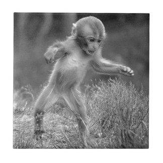 Funky Little Monkey Tile