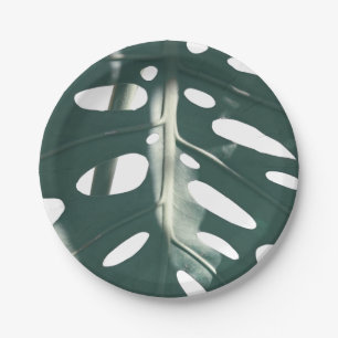 Funky Pale Green Swiss Cheese Plant Paper Plate