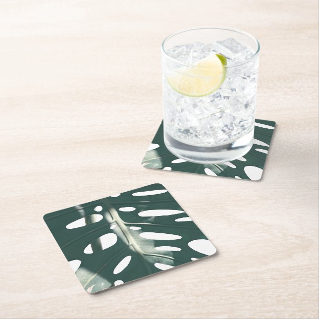 Funky Pale Green Swiss Cheese Plant Square Paper Coaster (Insitu)