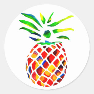 Funky pineapple cool art classic round sticker
