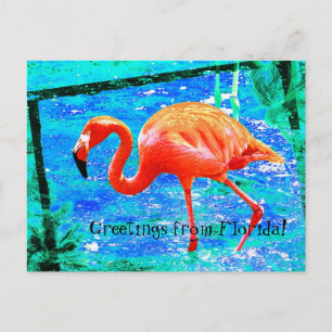 Funky pink Florida flamingo travel postcard