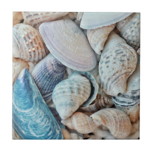 Funky Sea Shells Holiday Seaside Tile