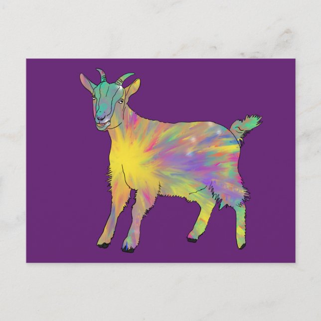Funky Starburst Goat Colorful Cute Animal Art Postcard (Front)